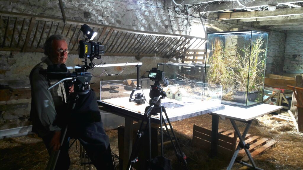 Conseil réalisation