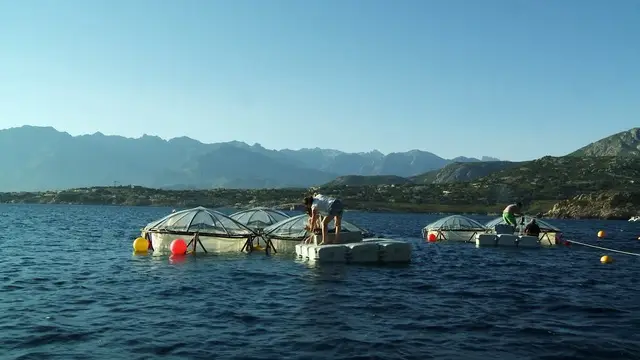 Projections conférences