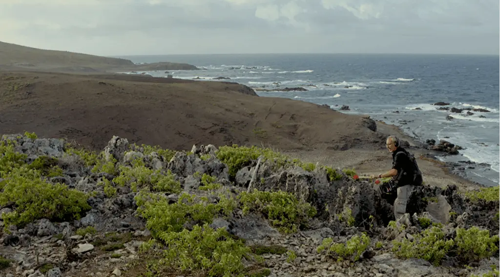 Projections conférences