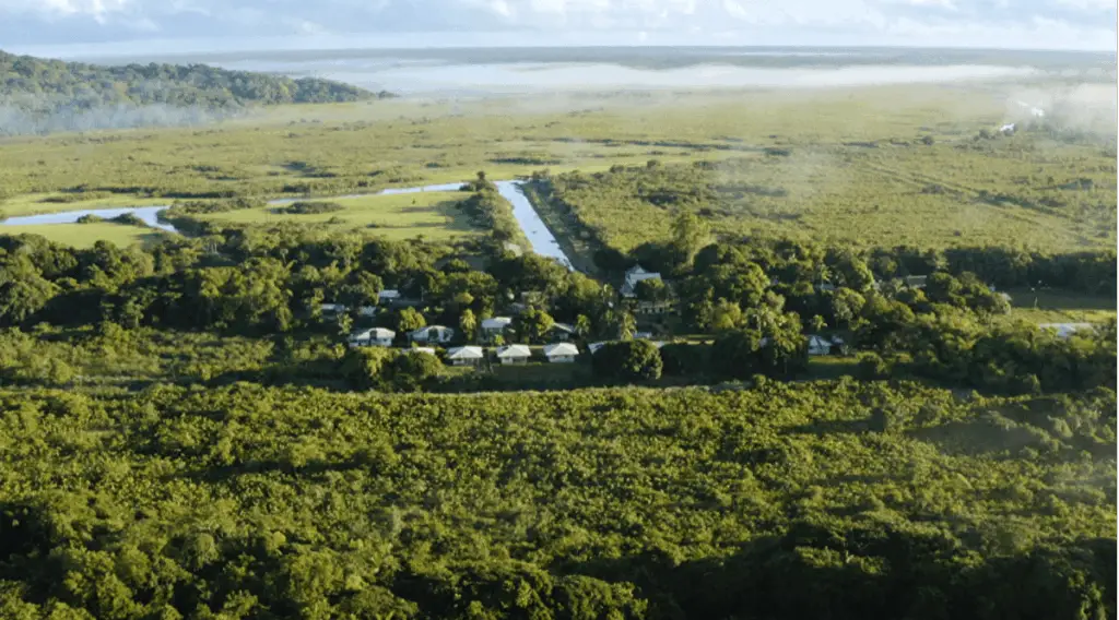 Projections conférences